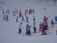 国民体育大会冬季大会スキー競技会の様子6