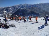 ポールトレーニングの様子1