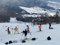 ポールトレーニングの様子3