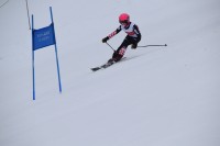 「第76回国民体育大会冬季大会スキー競技会奈良県予選会」、「第33回奈良県スキー連盟会長杯クラブ対抗スキー競技会」の様子1